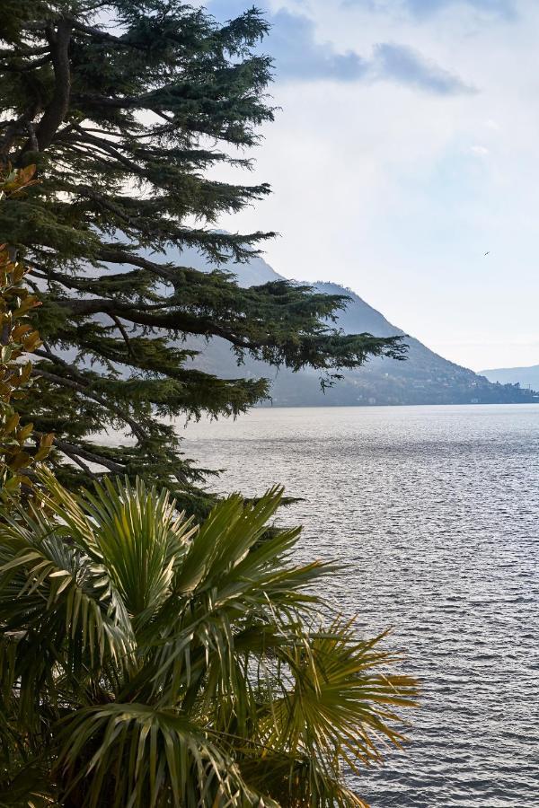 Villa Lario Lake Como Pognana Lario Exteriér fotografie